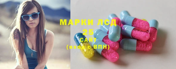 крисы Алзамай