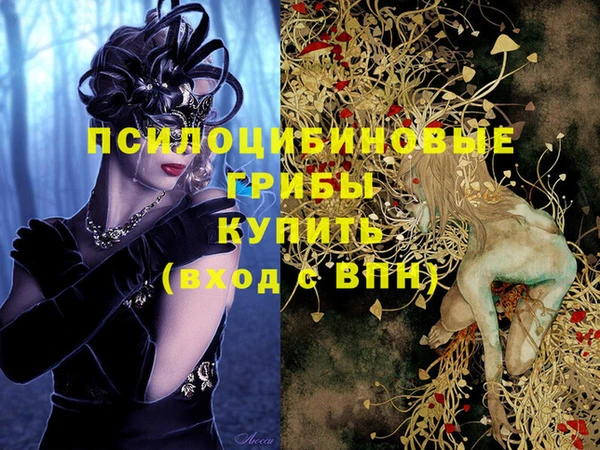 крисы Алзамай