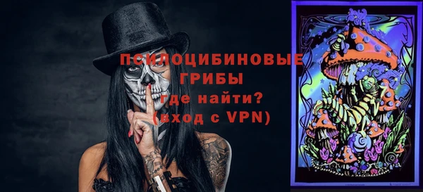 крисы Алзамай