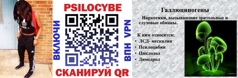 Псилоцибиновые грибы Cubensis Гуково